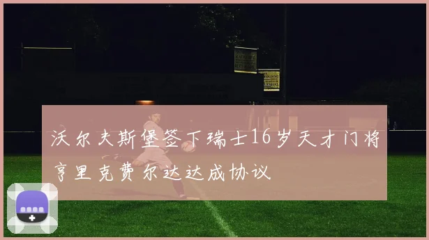 沃尔夫斯堡签下瑞士16岁天才门将亨里克费尔达达成协议